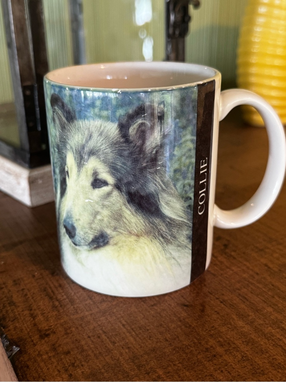 XPRESS Corp Ceramic Coffee Mug Collie Dog Educational History on Back